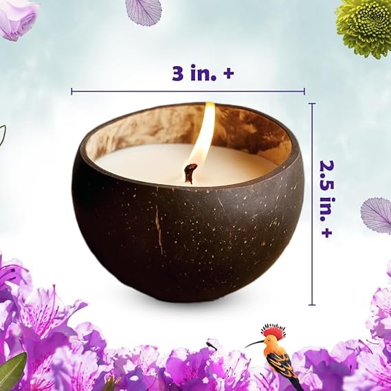 Candle Making in Coconut Shells DIY Kit|Diwali, Home Decor, Birthday Gift |
